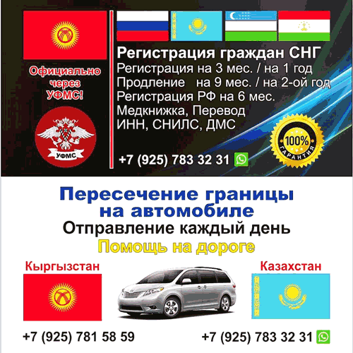 1071961 1071961
