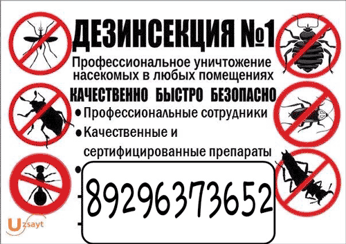 Клоп