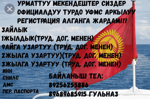 1188595 1188595