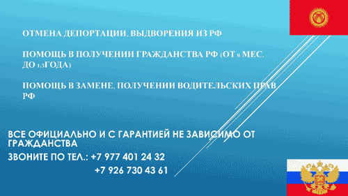1223061 1223061
