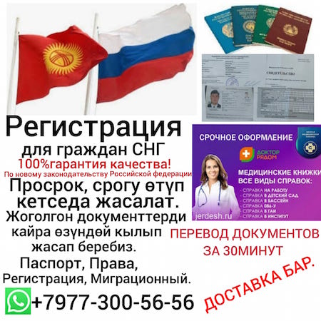 1272539 1272539