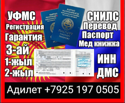 1616995 1616995