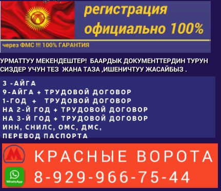 1673902 1673902