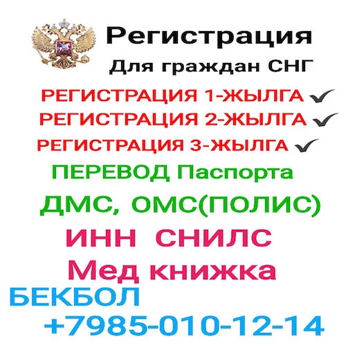 1705933 1705933