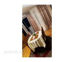 ⭕МЕЙМАНКАНА⭕1к.2к.3комн.❤️метрого 1,2,5мин❤️БЕЗ ХОЗЯИНА❤️Однушка без хозяина ❤