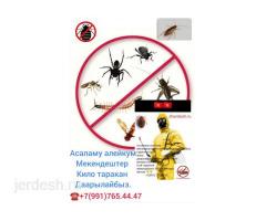 ДЕЗИНФЕКЦИЯ  КЛОП ТАРАКАН ДААРЫЛОО КЫЗМАТЫ. 24/7 ЧАЛСАНЫЗДАР БОЛОТ...