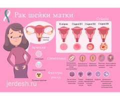 Гинекология Мамолог Онкогинеколог