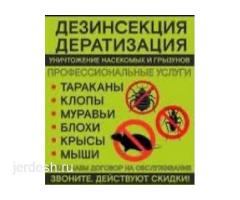 ДЕЗИНФЕКЦИЯ КЛОБ ТАРАКАН