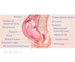 ⚜️ АЙЫМДАР, КОШ БОЙЛУУЛАР, КЫЗ-КЕЛИНДЕР  у-н жогорку сапаттагы гинекологиялык кызмат корсотулот