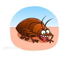 КЛОП ХЛОП ТАРАКАН ЖОК КЫЛАБЫЗ ГАРАНТИЯ  ДОГОВОР СЕРТИФИКАТ БАР КЛОП ХЛОП ТАРАКАН ЖОК КЫЛАБЫЗ ГАРАНТИЯ  ДОГОВОР СЕРТИФИКАТ БАР