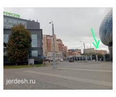 Бир балага орун бар