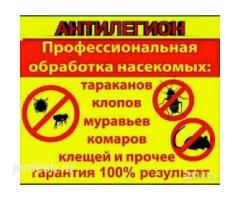 ДЕЗИНСЕКЦИЯ   КЛОП  ТАРАКАН  КЕПИЛДИК БАР БААСЫ КЕЛИШИМДУУ
