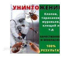 ДЕЗИНСЕКЦИЯ   КЛОП  ТАРАКАН  КЕПИЛДИК БАР БААСЫ КЕЛИШИМДУУ
