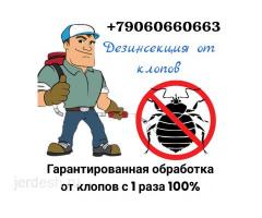 ДЕЗИНСЕКЦИЯ   КЛОП  ТАРАКАН  КЕПИЛДИК БАР БААСЫ КЕЛИШИМДУУ