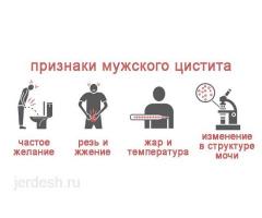 УРОЛОГ ХИРУРГ ГИНЕКОЛОГ ТЕРАПЕВТ Анализдин баарлык турлору ПЦР , БИОХИМИЯЛЫК ЛАБОРАТОРИЯ