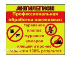 ДЕЗИНФЕКЦИЯ   КЛОП  ТАРАКАН  КЕПИЛДИК. БАР  БААСЫ КЕЛИШИМДУУ