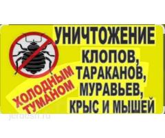 ДЕЗИНФЕКЦИЯ   КЛОП  ТАРАКАН  КЕПИЛДИК. БАР  БААСЫ КЕЛИШИМДУУ