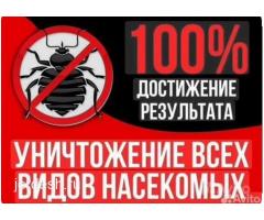 ДЕЗИНФЕКЦИЯ   КЛОП  ТАРАКАН  КЕПИЛДИК БАР  БААСЫ КЕЛИШИМДУУ