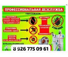 ДЕЗИНФЕКЦИЯ   КЛОП  ТАРАКАН  КЕПИЛДИК. БАР  БААСЫ КЕЛИШИМДУУ