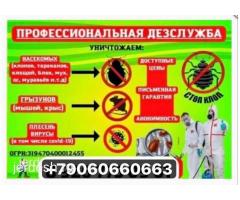 ДЕЗИНФЕКЦИЯ   КЛОП  ТАРАКАН  КЕПИЛДИК БАР  БААСЫ КЕЛИШИМДУУ