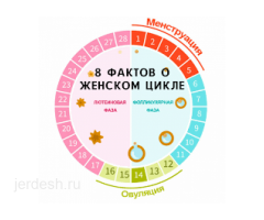 ⚜️ АЙЫМДАР, КОШ БОЙЛУУЛАР, КЫЗ-КЕЛИНДЕР у-н жогорку сапаттагы гинекологиялык кызмат корсотулот