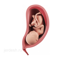 ❤️Введение беременности❤️Лабиопластика❤️Сужение влагалища❤️АБОРТ ❤️УЗИ ❤️Анализы ❤️