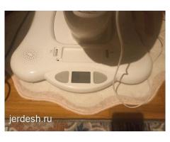 Квартирант алам