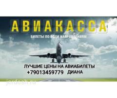 Арзан авиакасса ишеничтуу билеты Авиабилет Авиабилеты