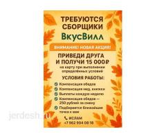 Сборщик заказов
