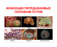 ✅КРУГЛОСУТОЧНО 24/7 ✅УРОЛОГ ♂️✅ ГИНЕКОЛОГ♀️ ✅АНДРОЛОГ ✅НЕФРОЛОГ✅СЕКСАПАТОЛОГ✅