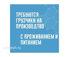 Упаковщик.Повар.Кассир.Грузчик