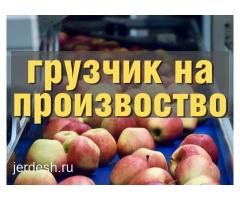 ЖУМУШКА ЧАКЫРАБЫЗ/ХАЛТУРА