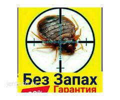 ДЕЗИНСЕКЦИЯ КЛОП ТАРАКАН САПАТТУУ 100% ГАРАНТИЯ 7АЙ 6 ЖЫЛ СТАЖ   24/7