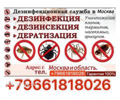 ДЕЗИНСЕКЦИЯ КЛОП ТАРАКАН САПАТТУУ 100% ГАРАНТИЯ 7АЙ 6 ЖЫЛ СТАЖ   24/7
