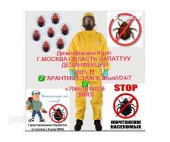 ДЕЗИНСЕКЦИЯ КЛОП ТАРАКАН САПАТТУУ 100% ГАРАНТИЯ 7АЙ 6 ЖЫЛ СТАЖ   24/7