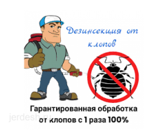 Клоп таракан Дезинфекция Сапаттуу обработка Стаж 6 Жыл