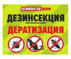 Клоп таракан Дезинсекция Сапаттуу обработка Стаж 6 Жыл 100% ГАРАНТИЯ