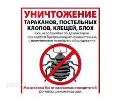 ДЕЗИНСЕКЦИЯ КЛОП❤️ТАРАКАН ДЕЗИНФЕКЦИЯ  ДААРЫЛАП БЕРЕБИЗ❤️