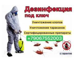 ДЕЗИНСЕКЦИЯ КЛОП❤️ТАРАКАН ДЕЗИНФЕКЦИЯ  ДААРЫЛАП БЕРЕБИЗ❤️