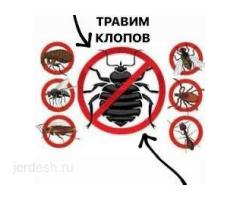 ДЕЗИНСЕКЦИЯ КЛОП❤️ТАРАКАН ДЕЗИНФЕКЦИЯ  ДААРЫЛАП БЕРЕБИЗ❤️