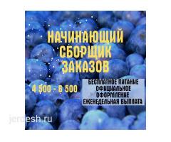 СРОЧНО РАБОТА !!!!!