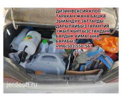 КЛОП ТАРАКАН 