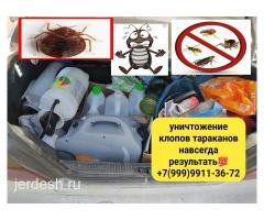 Дезинфекция уничтожение клопов тараканов результат 100