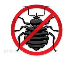 Дезинфекция уничтожение клопов тараканов результат 100