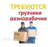 Жумуш сменасы 5500 чейин