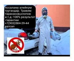 КЛОП ТАРАКАН ДАРЫЛАЙБЫЗ ГАРАНТИЯ 6-АЙ СЕРТИФИКАТ ДОГОВОР БАРЫ ОФИЦИАЛЬНО 89035842944