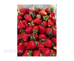 Малина, Клубника, Смородина из Кыргызстана