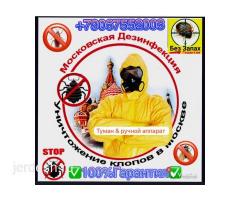 ✅ДЕЗИНФЕКЦИЯ — МОСКВА жана МОСКВА ОБЛАСТЫ КЛОП, ТАРАКАН, БЛОХ, КЛЕЩ жана башка зыянкечтерге каршы✅!