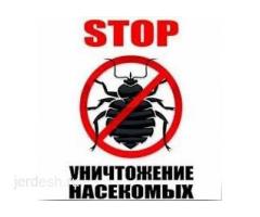 ✅ДЕЗИНФЕКЦИЯ — МОСКВА жана МОСКВА ОБЛАСТЫ КЛОП, ТАРАКАН, БЛОХ, КЛЕЩ жана башка зыянкечтерге каршы✅!