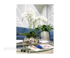 Медициналык  клиника Симпл Хелс (Simple Health)  МЦ